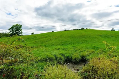 Tbd Knupp Road Timberville VA 22853