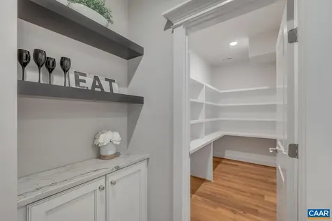 6 Odom Court Charlottesville VA 22901