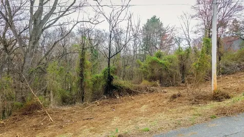 Tbd Fourth Street N Shenandoah VA 22849