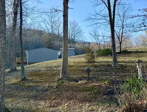 341 Buttercup Drive Mathias WV 26812