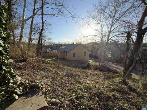 1000 2nd Street Charlottesville VA 22902