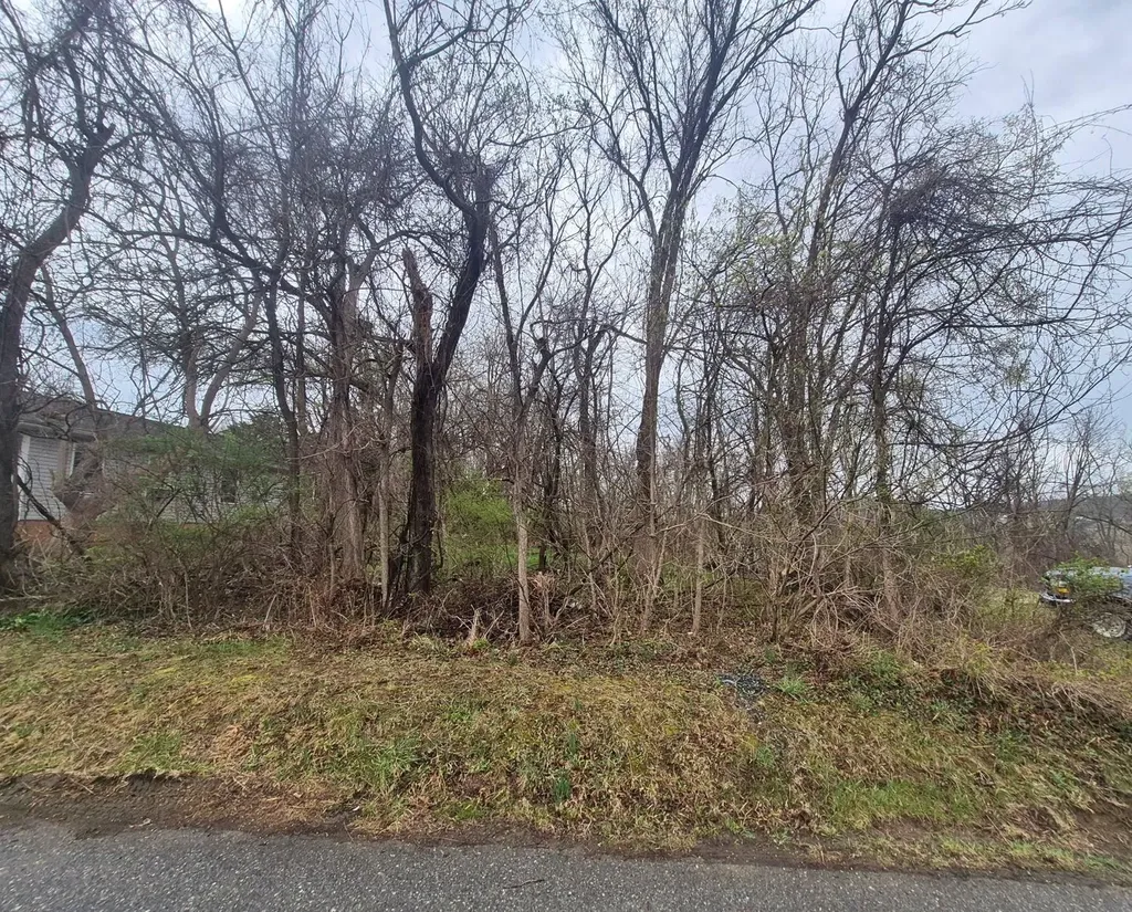 415 Jersey Street Staunton VA 24401