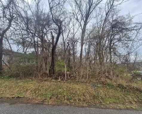 415 Jersey Street Staunton VA 24401