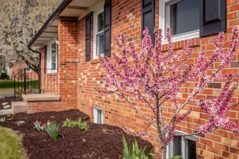 1258 Longs Pump Road Rockingham VA 22802