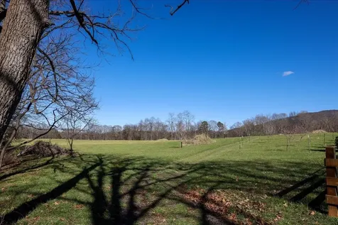 Tbd Tadpole Lane Greenville VA 24440