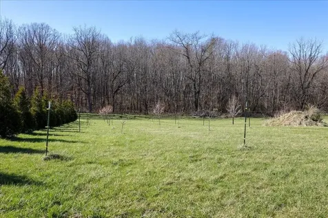 Tbd Tadpole Lane Greenville VA 24440