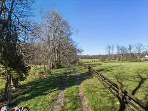 Tbd Tadpole Lane Greenville VA 24440