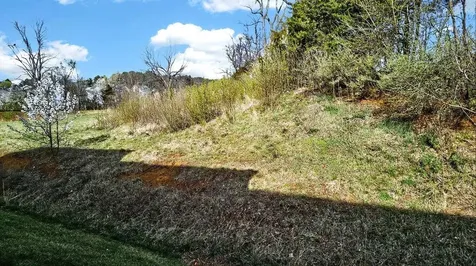 229 Willowshire Court Waynesboro VA 22980