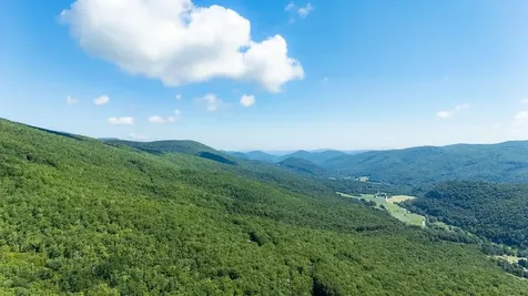 1063 High Valley Drive S Monterey VA 24465