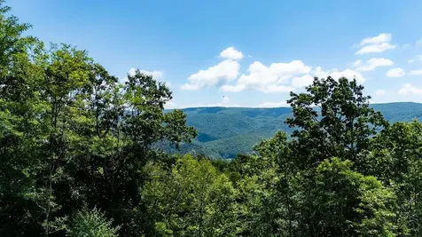 1063 High Valley Drive S Monterey VA 24465