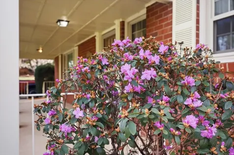 408 Robin Street Staunton VA 24401