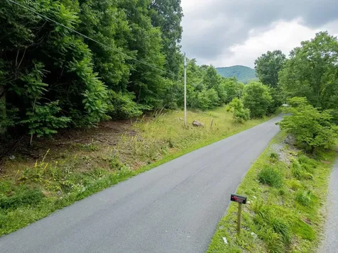 Tbd Cubbage Hollow Road Stanley VA 22851