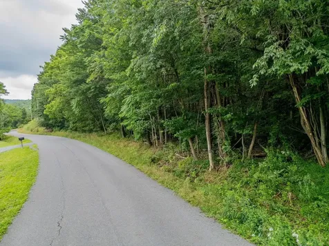 Tbd Cubbage Hollow Road Stanley VA 22851