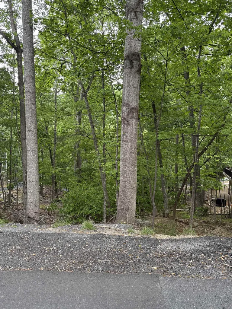 Tbd Palmer Road Mcgaheysville VA 22840