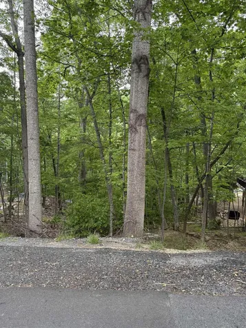 TBD Palmer Road Mcgaheysville VA 22840