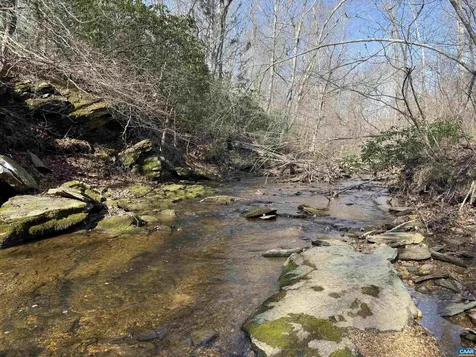 0 Paynes Pond Road Scottsville VA 24590