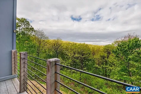 45 Timber Camp Drive Wintergreen Resort VA 22967
