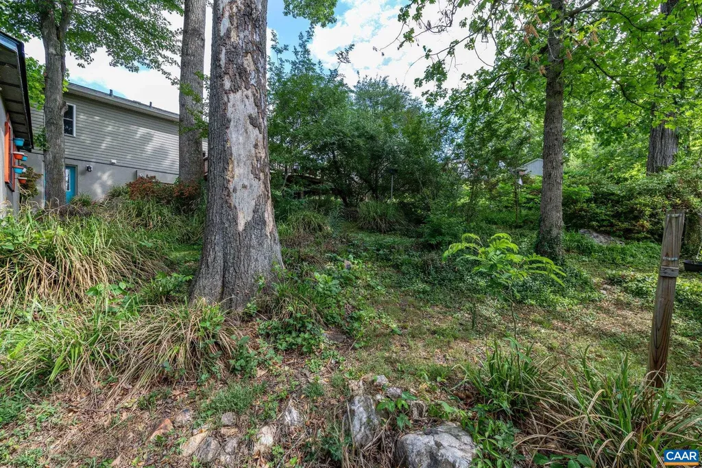 525 Jester Lane Charlottesville VA 22911