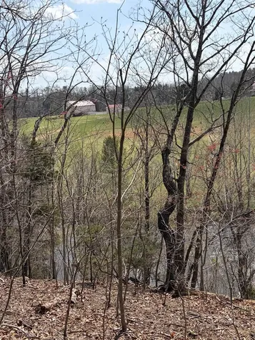 759 Rifes Ford Road Verona VA 24482