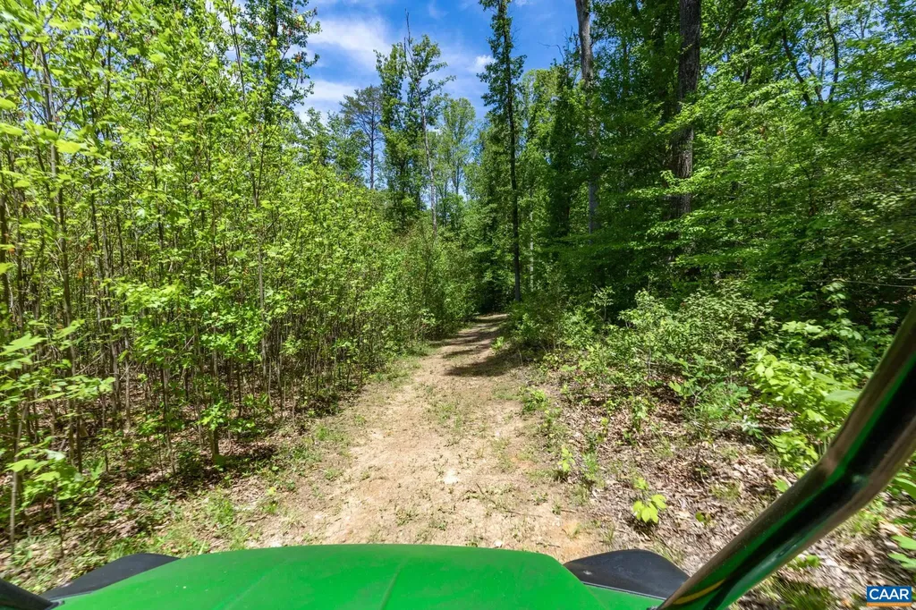 4739 Old Mountain Road E Louisa VA 23093