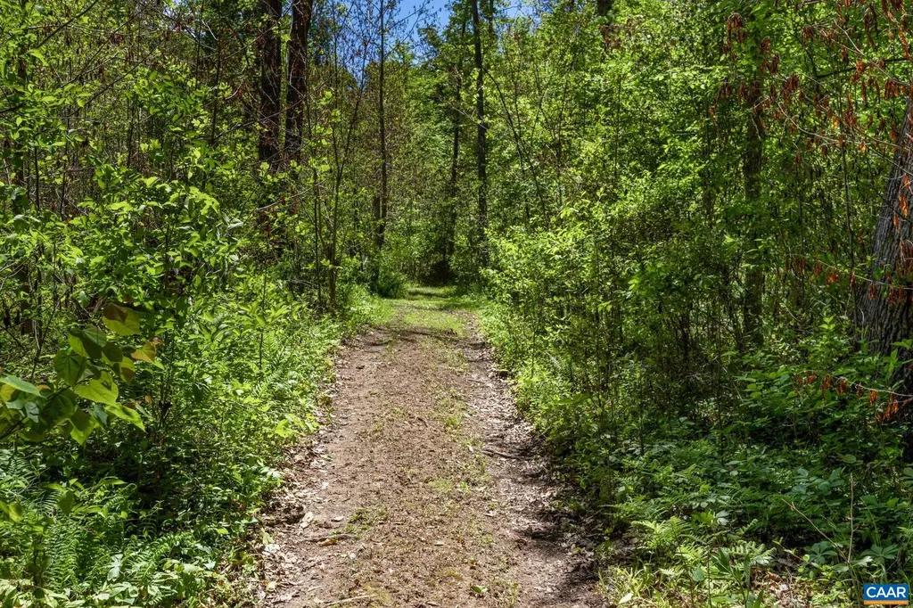 4739 Old Mountain Road E Louisa VA 23093