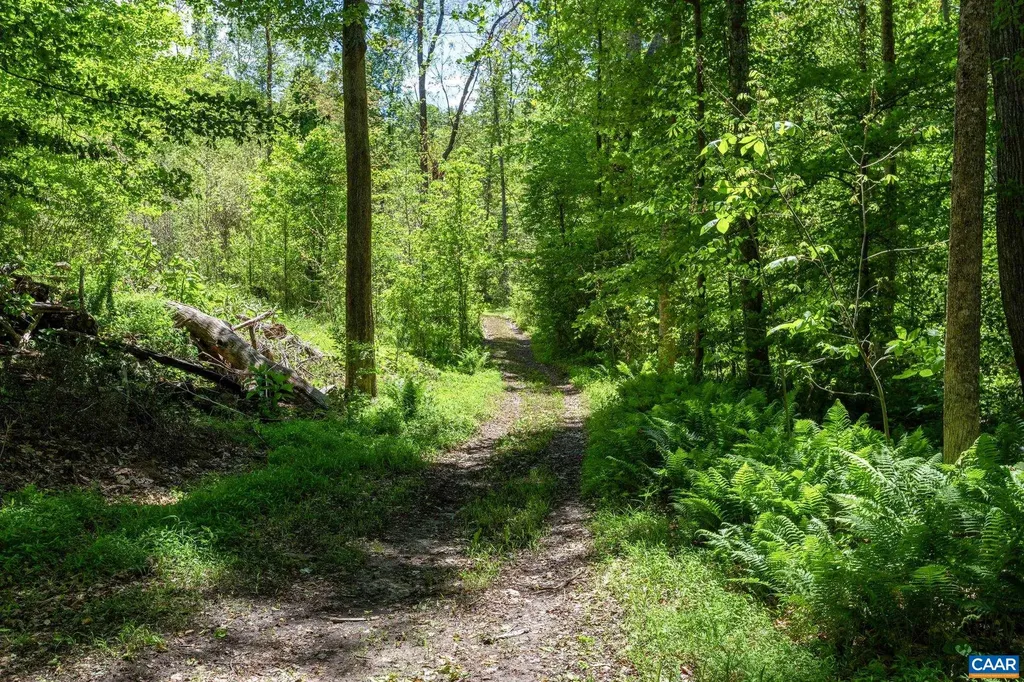 4739 Old Mountain Road E Louisa VA 23093