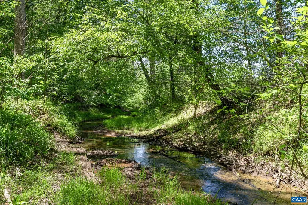 4739 Old Mountain Road E Louisa VA 23093