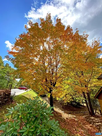 777 Laurelwood Condos Wintergreen Resort VA 22967