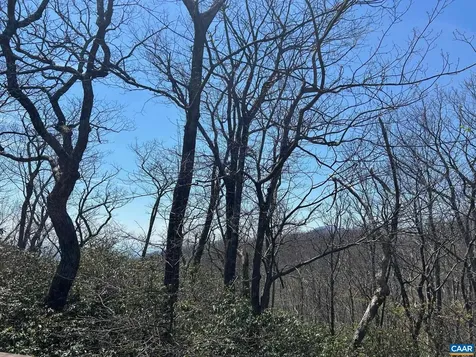 30 Gumtree Drive Wintergreen Resort VA 22967