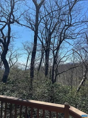 30 Gumtree Drive Wintergreen Resort VA 22967