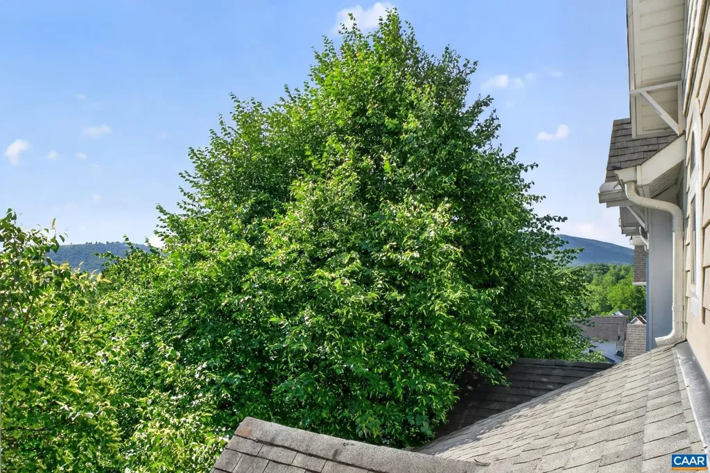 217 Brookwood Drive Charlottesville VA 22902