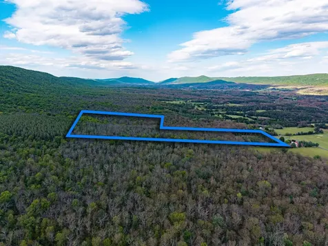 0 Boliver Road Fort Valley VA 22652