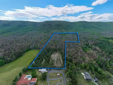 0 Boliver Road Fort Valley VA 22652