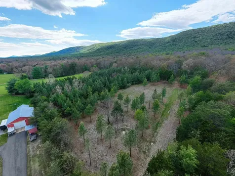 0 Boliver Road Fort Valley VA 22652