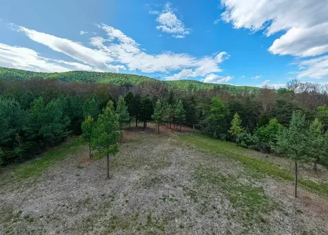 0 Boliver Road Fort Valley VA 22652