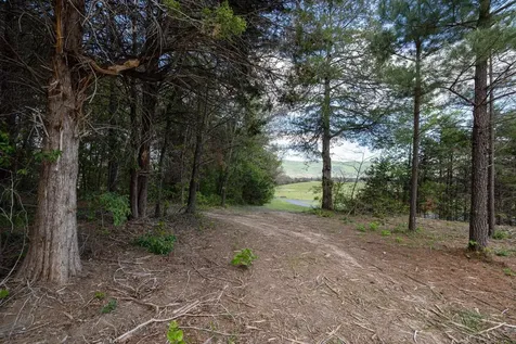 0 Boliver Road Fort Valley VA 22652