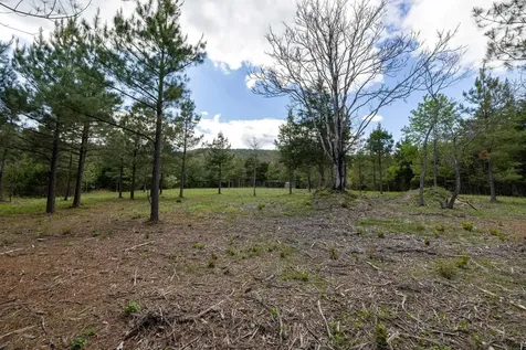0 Boliver Road Fort Valley VA 22652