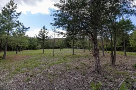 0 Boliver Road Fort Valley VA 22652