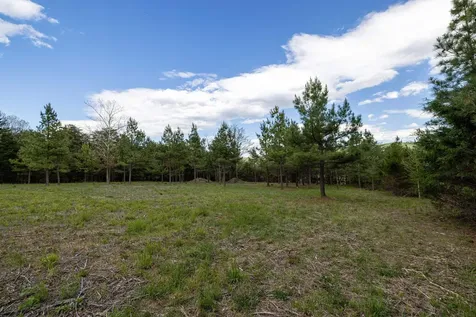 0 Boliver Road Fort Valley VA 22652