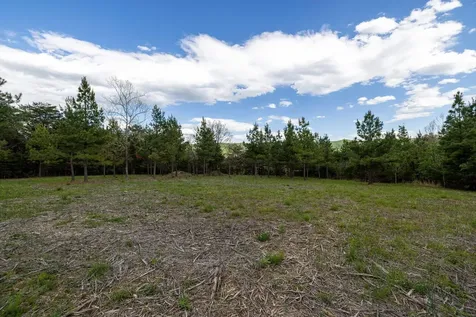 0 Boliver Road Fort Valley VA 22652