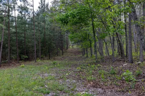 0 Boliver Road Fort Valley VA 22652