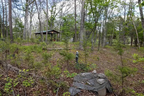 0 Boliver Road Fort Valley VA 22652