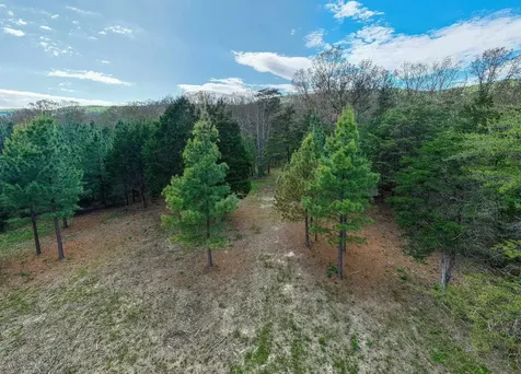0 Boliver Road Fort Valley VA 22652