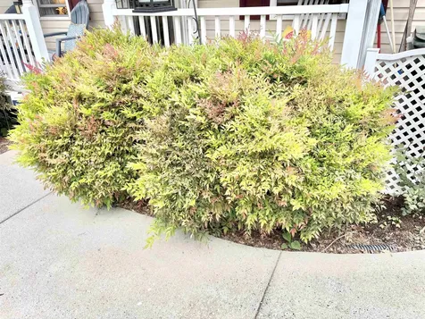 341A Campbell Street Staunton VA 24401