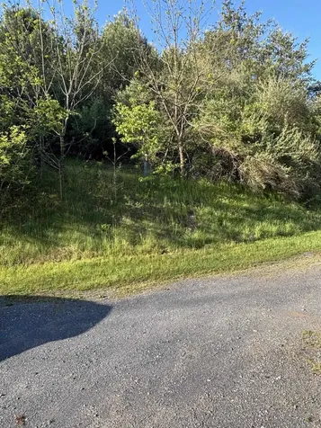 292 Hodges Draft Lane West Augusta VA 24485