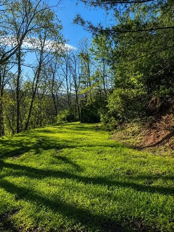 292 Hodges Draft Lane West Augusta VA 24485