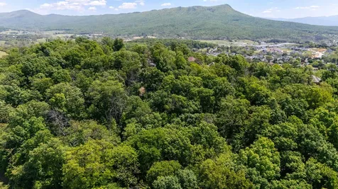 354 Steeplechase Drive Penn Laird VA 22846