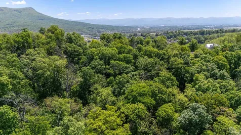 354 Steeplechase Drive Penn Laird VA 22846