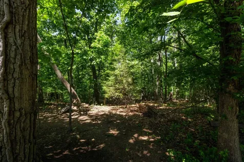 354 Steeplechase Drive Penn Laird VA 22846