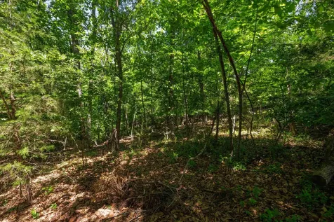 354 Steeplechase Drive Penn Laird VA 22846